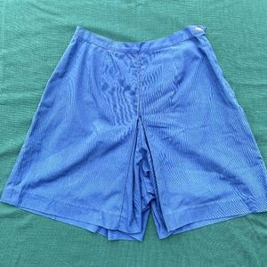 Adorable Blue Vintage Skirt/Shorts